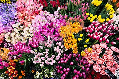 《匹诺曹的谎言》获“韩国游戏大奖”六项大奖 包含最高奖项