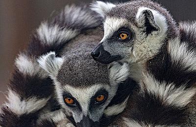 《女鬼桥2：释魂路》宣布2024年发售 登陆全平台